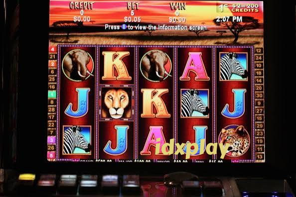 idxplay Live Casino Tables Built for Indonesia